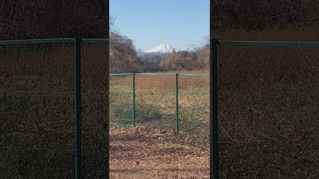 [武蔵村山市]都立中藤公園（計画面積）のマップから察するにここは中藤公園のはず、から見る富士山 #tokyo #travel #shorts