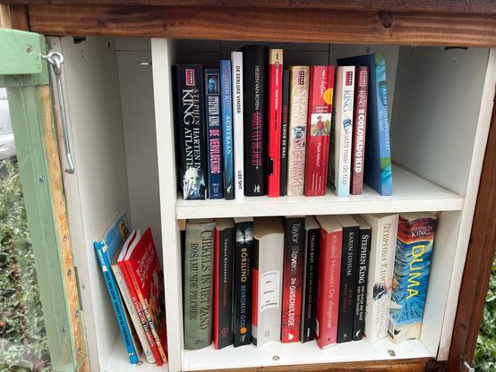 Wooden Little free library inside