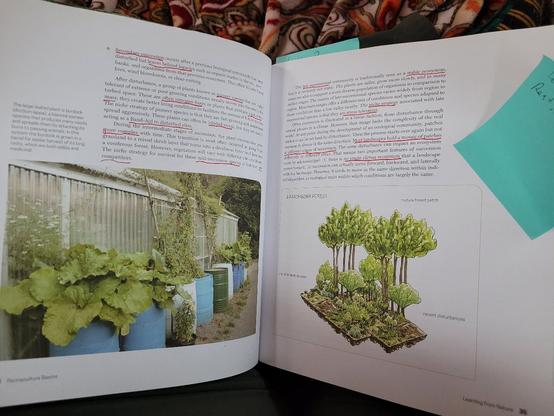 Open book, pages 34-35 of Practical Permaculture: for Home Landscapes, Your Community, and the Whole Earth. Left page shows large leafed plants in blue barrels. Right page shows illustration of a patch of ground with various amounts of vegetation. Manny phrases of the text are underlined in red ink. A blue post-it is stuck to the right page but the text is out of frame.