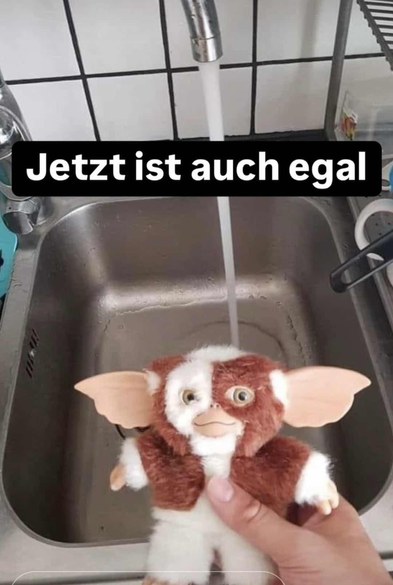 A Mogwai, about to be held under the sink.
Text: "Jetzt ist auch egal." (Does not matter any more)