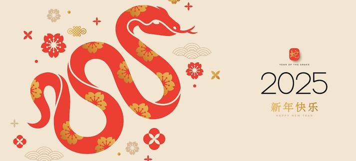 Año nuevo chino 2025 / kotoffei