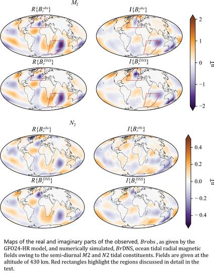 global maps -  Maps of the real and imaginary parts of the observed, 𝐵𝑟obs, as given by the GFO24-HR model, and numerically simulated, 𝐵𝑟DNS, ocean tidal radial magnetic fields owing to the semi-diurnal 𝑀2 and 𝑁2 tidal constituents. Fields are given at the altitude of 430 km. Red rectangles highlight the regions discussed in detail in the text.