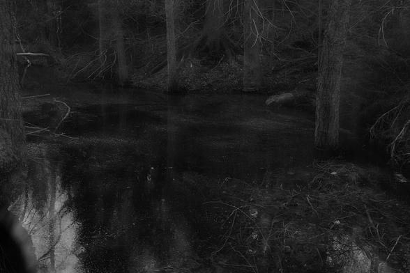 A view of a waterlogged old mine with half trees in the background on the opposite side. On the surface of the water are remnants of recently melted ice that resemble stardust. 
Down in the left corner, a piece of the sky is reflected in the surface of the water and to the right there are a lot of branches and old leaves on the surface. It is a dark image in black and white.