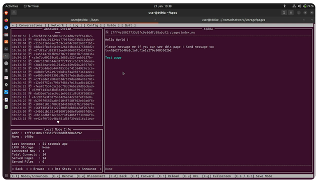 a simple page shown and made on the nomadnet software