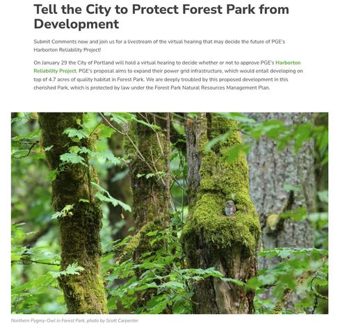 Tell the City to Protect Forest Park from Development

Submit Comments now and join us for a livestream of the virtual hearing that may decide the future of PGE's Harborton Reliability Project! 
On January 29 the City of Portland will hold a virtual hearing to decide whether or not to approve PGE's Harborton Reliability Project. PGE's proposal aims to expand their power grid infrastructure, which would entail developing on top of 4.7 acres of quality habitat in Forest Park. We are deeply troubled by this proposed development in this cherished Park, which is protected by law under the Forest Park Natural Resources Management Plan. 


Photo of mossy trees, with a Northern Pygmy-Owl in Forest Park, photo by Scott Carpenter