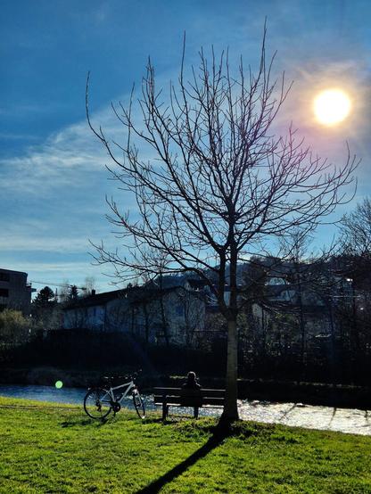 Una bicicleta, un banco en el que hay una persona sentada y un árbol junto al río