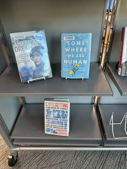 Three books are displayed prominently on a library bookshelf. They are “My (Underground) American Dream: My True Story