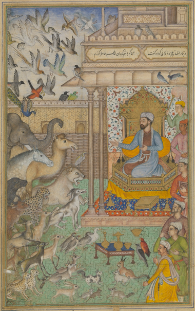 “Solomon was known for his great wisdom, and for his ability to speak with all creatures. One day, he had the opportunity to drink the water of life, and to live forever. Hesitating, he decided first to take advice from the animals and birds. They all gathered at his court, and discussed the great decision. The heron advised the king not to choose immortality. There was only enough water for one person, the bird said, so if Solomon were to drink it, then he would outlive everyone he loved.  This folio is from a copy of a highly-regarded Persian text, written by Husayn Va`izi Kashifi (d.1504-05), a preacher and scholar at the Timurid court in Herat (modern Afghanistan): <Lights of Canopus (Anvar-i Suhayli), a reworking of the animal fables Kalila and Dimna (Kalila wa Dimna)>. His patron was Amir Shaykh Suhayli, whose last name is punningly inserted into the new title. Writing in a sophisticated court style, Kashifi composed an updated version of these lively animal fables, which have a long transmission history going back to Persian, Arabic and Sanskrit texts. This manuscript was made in Mughal India, and features 96 paintings (mounted separately).”