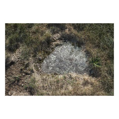 lichen covered flat stone surrounded by mown grass