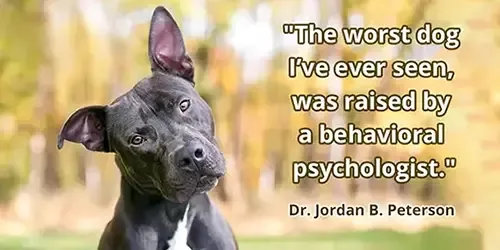 "The worst dog I’ve ever seen was raised by a behavioral psychologist." - Dr Jordan B. Peterson