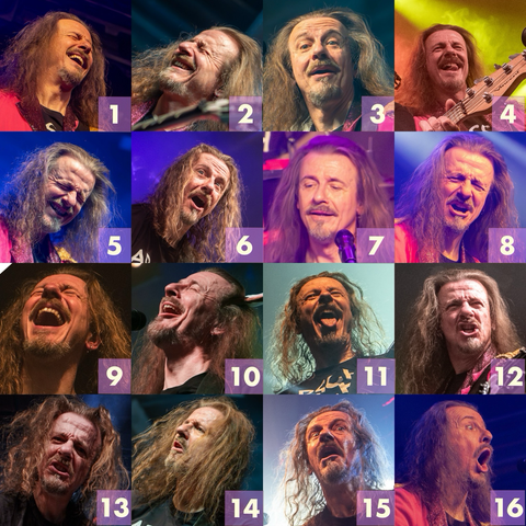 16 Fotos von Vitos Gesicht mit verschiedenen Grimassen