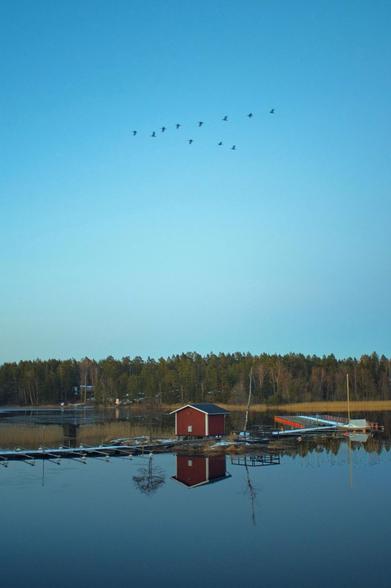Swedish landscape of lake and forrest surroundings with a pier and boathouse in classic Swedish “Falu”-red paint. 

The lakeside is still and mirror like reflecting the horizon. A flock of birds flying above. 

Shot on a Fujifilm X-Pro1 with manual Nikkor lens. Filmemulation burned in the jpeg