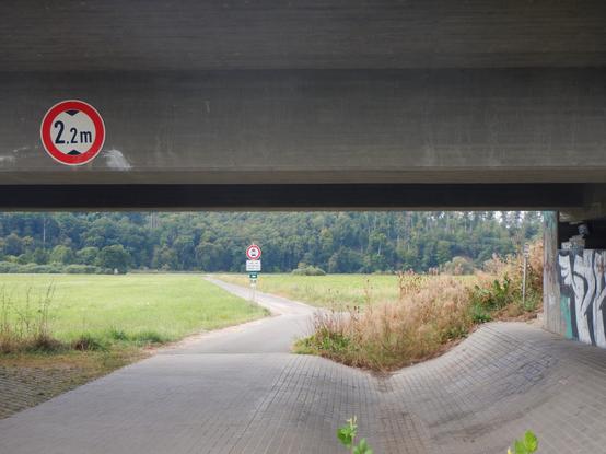 ein asphaltierter feldweg führt unter einer mächtigen beton-brücke durch.