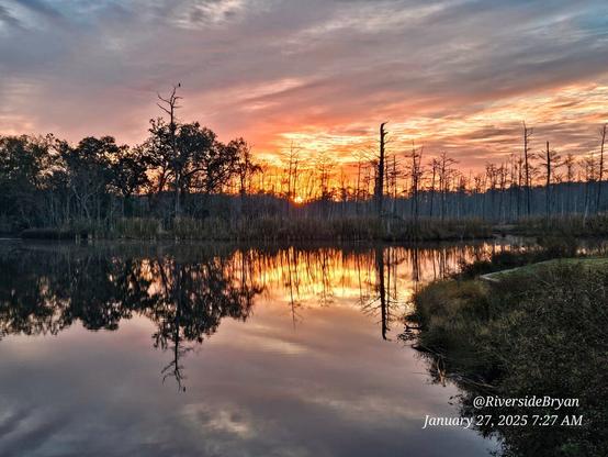 Firey sunrise over Goodby's Creek and adjacent wetland. As the intense yellow sun rises above the treeline at the horizon, an explosion of warm colors reach up into the cool blue and purple sky. Streaks of red, yellow, pink, and orange illuminate a wetland landscape as if a fire were raging in the distance.  The very still, mirror like water below casts back reflections of the surroundings and sky above.