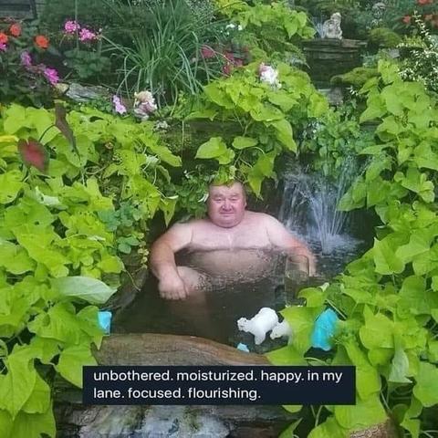 The pond sage sitting in a pond, surrounded by greenery with a subcaption "unbothered. moisturized. happ. in my lane. focused. flourishing."