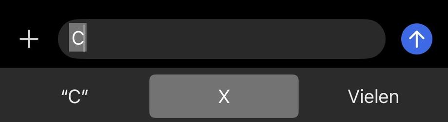 Screenshot der Texteingabe auf einem iPhone. Ich habe nur ein großes C geschrieben, das iPhone würde daraus gerne ein großes X oder das Wort Vielen machen.