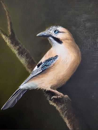 Photo d'une peinture à l'huile de geai des chênes