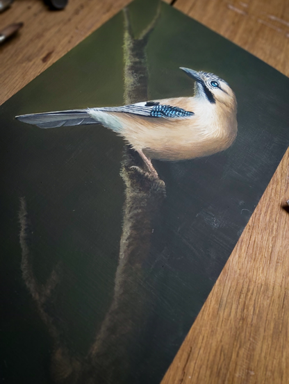 Photo d'une peinture à l'huile de geai des chênes plan plus large