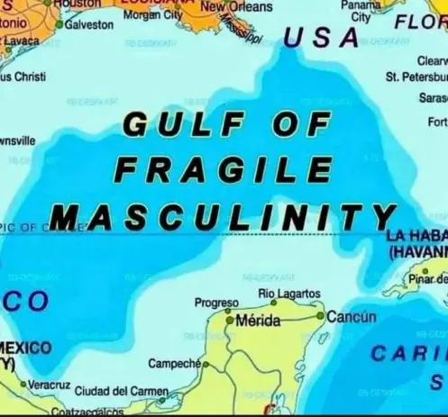 A map of the Gulf of Mexico that reads: "Gulf of fragile masculinity"