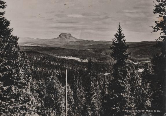 Scan of a postcard from Northern Norway. The photograph is a black and white landscape of spruce forests stretching into the distance where a flat, mountainous outcrop rises above the horizon.
