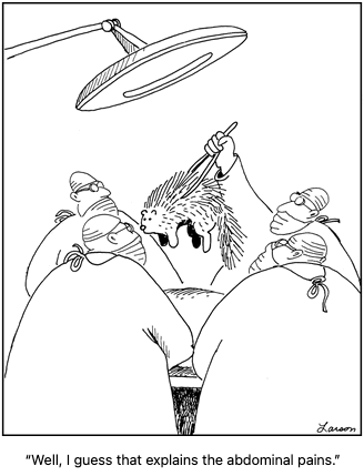 Gary Larson cartoon.
Doctors surround a surgical patient. One is holding up a porcupine that he's apparently just pulled out of the patient.

Caption: "Well, I guess that explains the abdominal pains."