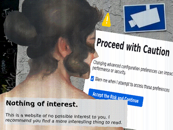 ema ventures into scientific operations inside about:config in firefox