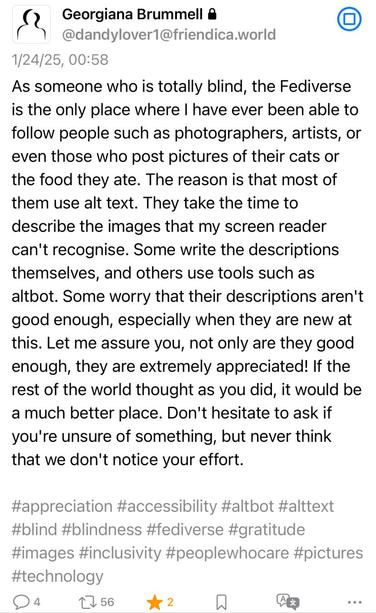 Screenshot: A blind person shares how they can finally follow artists and photographers thanks to those who add image descriptions