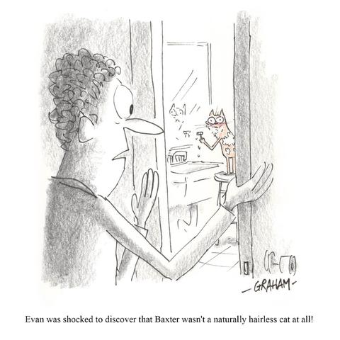A cartoon illustration of a man opening the bathroom and finding his surprised cat in the middle of shaving off all its fur. Caption reads "Evan was shocked to discover that Baxter wasn't a naturally hairless cat at all!"