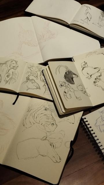 Varios cuadernos de dibujo esparcidos con bocetos de animales