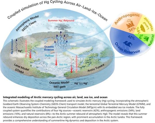 schematic - integrated modeling of Arctic mercury cycling across air, land, sea ice, and ocean