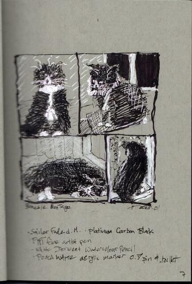 A hand-drawn sketch montage on toned paper features four small panels depicting a black-and-white cat in various poses. The sketches use a combination of ink, watercolor pencil, and acrylic marker, with expressive hatching and cross-hatching techniques. In the top-left panel, the cat sits upright with slightly ruffled fur, facing forward with wide eyes. The top-right panel shows a side view of the cat sitting in a relaxed but attentive posture. The bottom-left panel depicts the cat lying down on a cushioned surface, curled up with its eyes closed. The bottom-right panel captures a profile view of the cat looking into the distance. Handwritten notes below the sketches list the materials used: Sailor Fude fountain pen with Platinum Carbon Black ink, PITT fine artist pen, white Derwent watercolor pencil, and Posca white acrylic marker (0.7 pin & bullet). The artist's signature, "tt25-01," appears near the bottom right.
