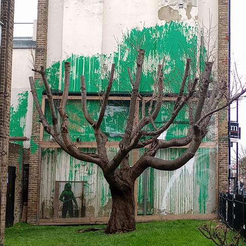 A tree without leaves stands in a courtyard of an aprtment block, facing a busy road. The wall behind the tree has been painted with green paint so that it looks like the tree has leaves. A small person is painted at the lower left holding a spray nozzle on a long rod in one hand and a pump action container on the other.