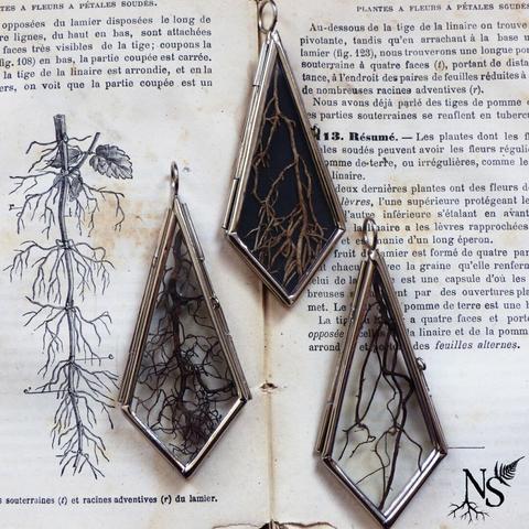 3 pendants placed on an old botany book with an illustration of a root. The pendants are made of glass and contain real pieces of roots. One of them has a black background to better highlight the light root on the skin.
There’s a NS logo in one corner, with roots starting at the bottom of the N and a fern starting at the top of the S.
❉
3 pendentifs posés sur un vieux livre de botanique avec une illustration de racine. Les pendentifs sont en verre et renferment de vrais morceaux de racines. L’un d’eux a un fond noir pour mieux faire ressortir la racine claire sur la peau.
Il y a un logo NS dans un coin, avec des racines commençant en bas du N et une fougère commençant en haut du S.
