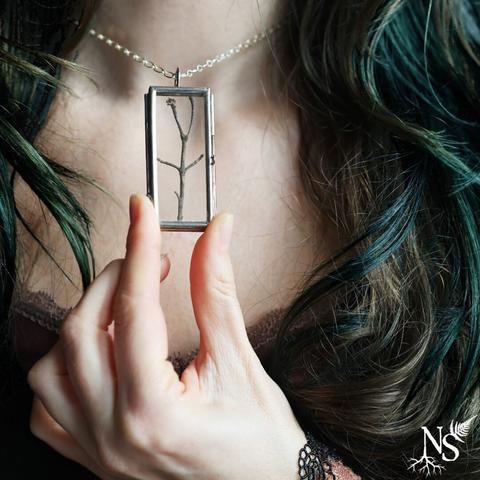 A hand holds a pendant in the foreground, connected to a necklace with a simple chain. In the background we can make out a woman's neckline. Her long dark blond and dark green hair cascades down the sides. The pendant is made of glass and contains a real piece of branch.
There’s a NS logo in one corner, with roots starting at the bottom of the N and a fern starting at the top of the S.
❉
Une main tient un pendentif au premier plan, relié à un collier avec une chaîne simple. A l’arrière plan on devine le décolleté d’une femme. Ses longs cheveux blond foncé et vert sombre cascadent sur les côtés. Le pendentif est en verre et contient un vrai morceau de branche.
Il y a un logo NS dans un coin, avec des racines commençant en bas du N et une fougère commençant en haut du S.