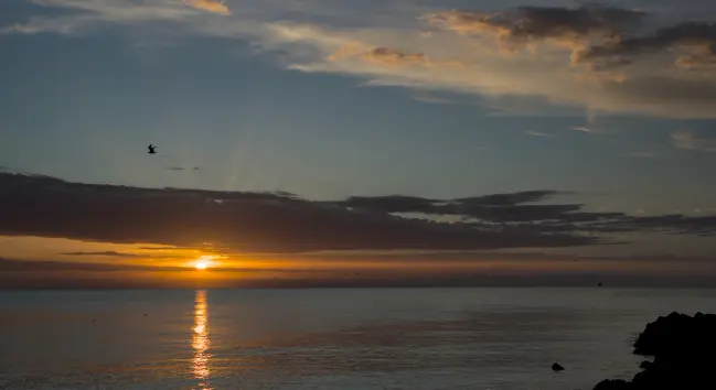bild im querformat:
sonnenaufang am meer. am rechen unteren bildrand steine vom wellbrecher. die sonne spiegel sich auf dem wasser, in der luft eine möwe