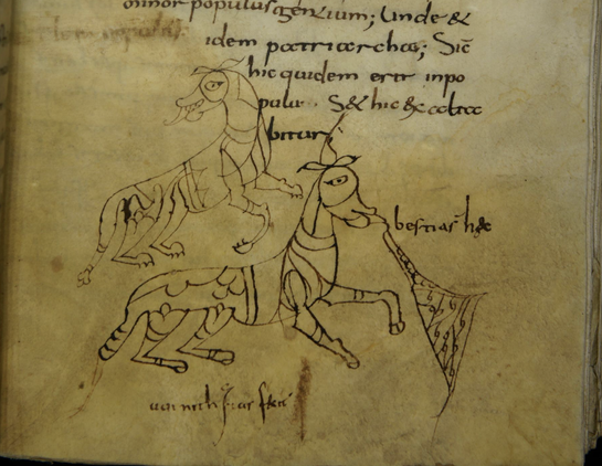 Photograph of the bottom half of a medieval manuscript page, with writing at the topic and a black ink drawing of two dog-like creatures with highly decorated bodies, facing away from each other, below. The dog on the right has a triangular shape coming out of its mouth. In between and below is the note "bestias haec winitharius fecit".