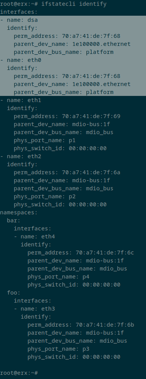 Output of the new `ifstate identify` command which can be used to create a config YaML template with interface distinguishers for physical interfaces. This is one of the major changes scheduled for ifstate 2.0.