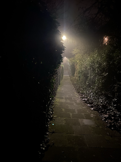 Ein schwach erleuchteter Weg zwischen dunklen Hecken