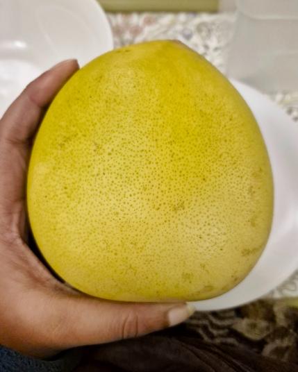Whole unpeeled pomelo in my hand, this is quite a small one