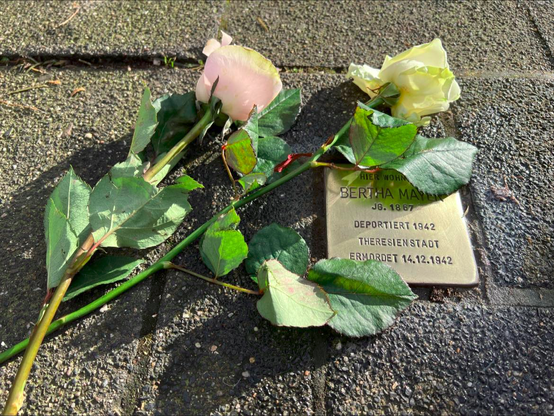 Rosen Neben Stolperstein