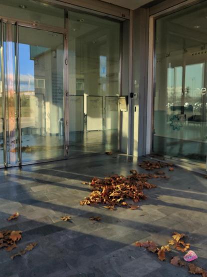 En la foto se ve la entrada de un edificio de oficinas. Las puertas son de cristal y la luz de invierno las atraviesa, creando sombras y reflejos. En el suelo hay hojas marrones de los árboles, arrastradas por el viento y un embase de bebida de color rosa.
