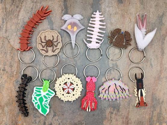 Twelve keychains arranged in two rows. Top row: Stone Centipede (Lithobius forficatus), Mud-Nest Harvester (in nest) (Quindina limbata), Sea Butterfly (Diacria trispinosa), Gossamer Worm (Tomopteris helgolandica), Hairy Stone Crab (Lomis hirta), Fish Louse (Dipteropeltis longicaudatus). Bottom row: Velvet Worm (Peripatopsis capensis), Sap-Sucking Slug (Elysia viridis), Basket Star (Gorgonocephalus eucnemis), Strawberry Squid (Histioteuthis heteropsis), Flower Hat Jelly (Olindias formosus), Lined Earwig (Doru taeniatum). Split rings are 1-inch (2.5cm).