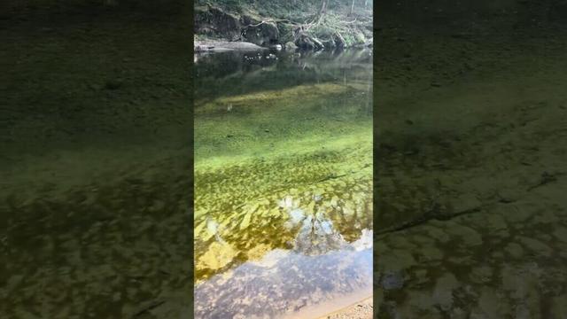 ①「とどろ渓谷」【2025/01/20】鹿児島県志布志市志布志町安楽