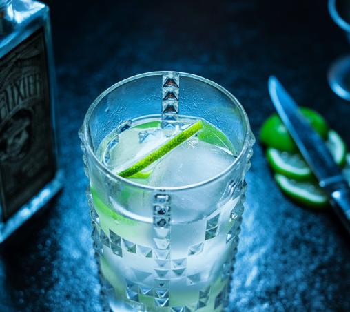 A Glas of gin tonic with fresh lemonslices and icecubes