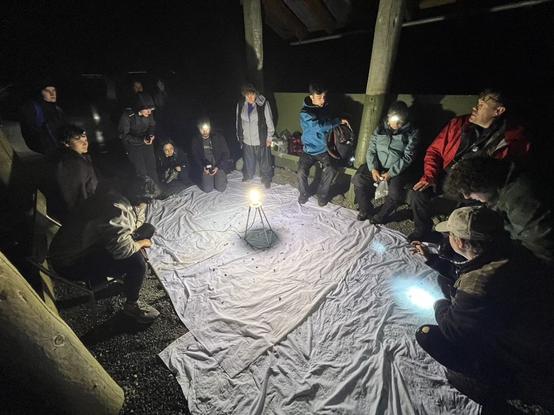 A photo of some of our staff and students gathered around our nightly moth light. It's a bright mercury vapour bulb on some white sheets. As my wife joked, yes, there is peace and serenity (and moths) in the light.