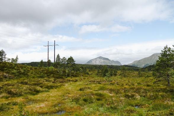 A vast natural landscape featuring a grassy field with patches of wetland and scattered trees. In the distance, a set of utility poles with power lines crosses the terrain, leading toward majestic mountains under a partly cloudy sky.