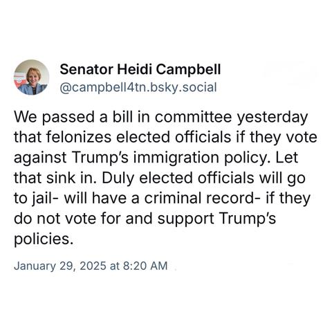 screenshot of a post by Senator Heidi Campbell @campbell4tn.bsky.social: 

We passed a bill in committee yesterday that felonizes elected officials if they vote against Trump's immigration policy. Let that sink in. Duly elected officials will go to jail- will have a criminal record- if they do not vote for and support Trump's policies. 

January 29, 2025 at 8:20 AM