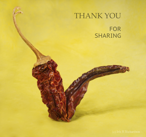 Dried red hot pepper looks like a check mark against a bright yellow background macro photograph.