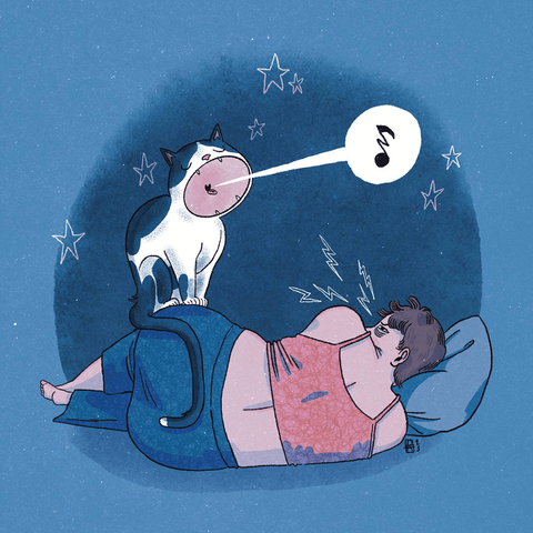Illustration of a person trying to sleep while their black and white cat is meowing musically, perched on the human's butt. Main colors are  dark blues and pink, and white accents.