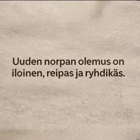 Uuden norpan olemus on iloinen, reipas ja ryhdikäs.